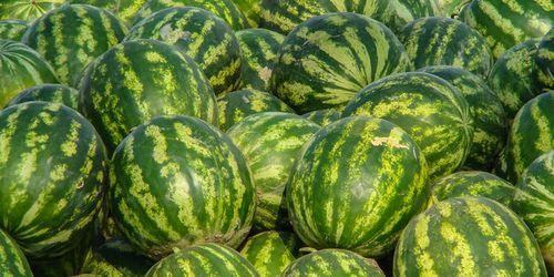 娱乐吃瓜酱广西