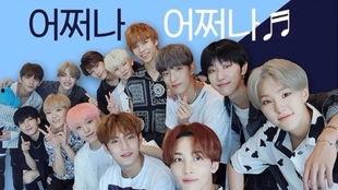 seventeen不想哭花絮,泪水中绽放的坚强与温暖