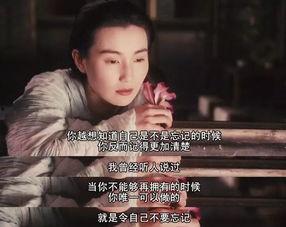 香港明星视频,香港明星风采瞬间回顾